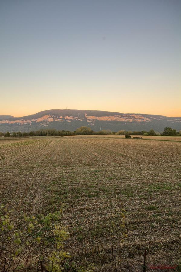 Hébergement de vacances 2 à Montalieu-Vercieu